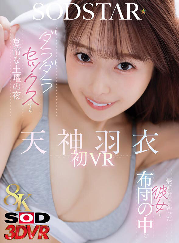 13DSVR01947 サンプル1