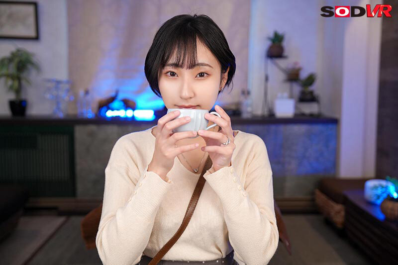 13DSVR01950 サンプル13