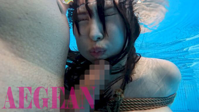 1AEGE00057 サンプル15