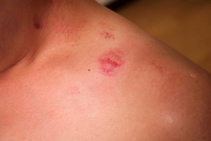 1DANDY00777 サンプル10