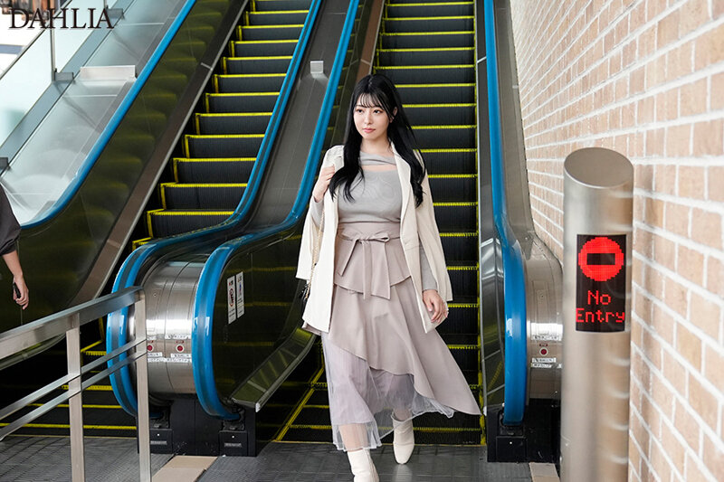 1DLDSS00381 サンプル1