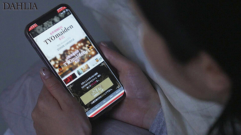 1DLDSS00385 サンプル1