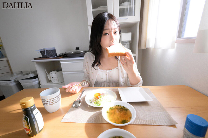 1DLDSS00425 サンプル1