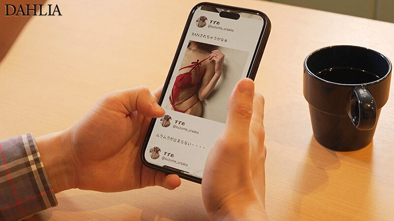 1DLDSS00428 サンプル1