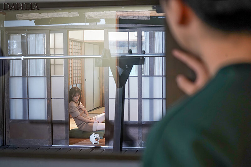 1DLDSS00476 サンプル6