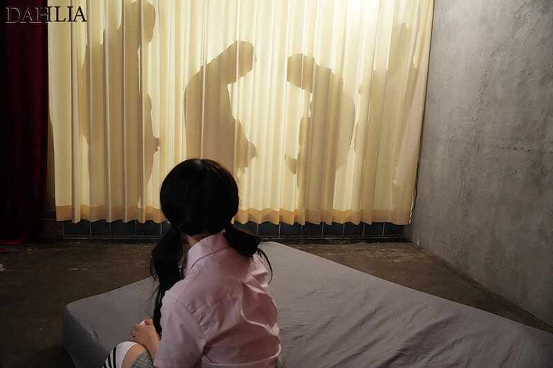 1DLDSS00479 サンプル10