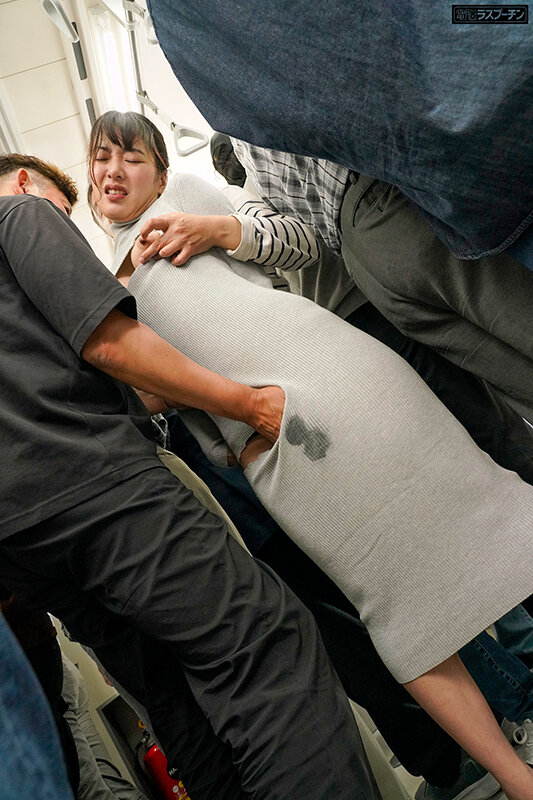 1DRPT00064 サンプル6