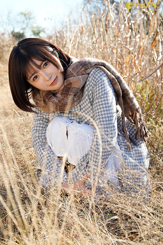 1FSDSS00619 サンプル1