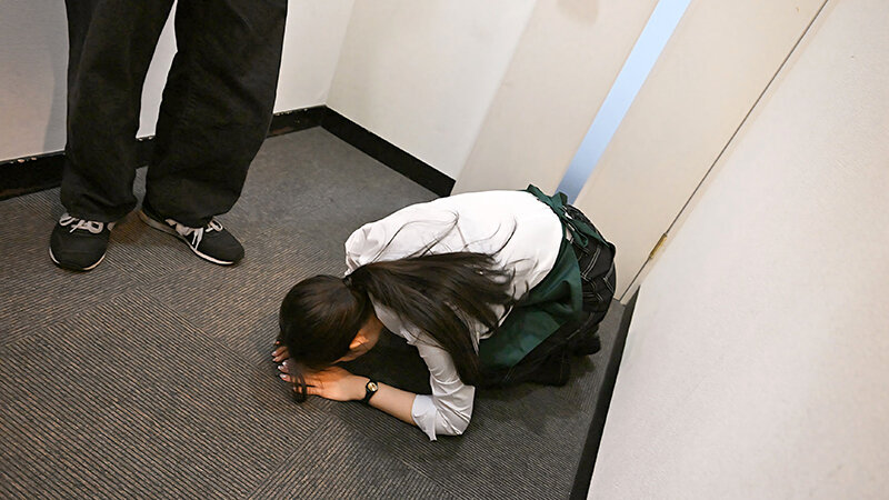 1FTHTD00097 サンプル8