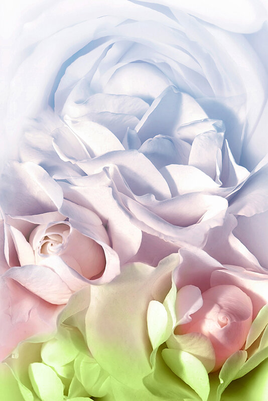 1IENF00289 サンプル3