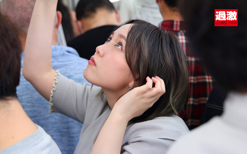 1NHDTB00733 サンプル1