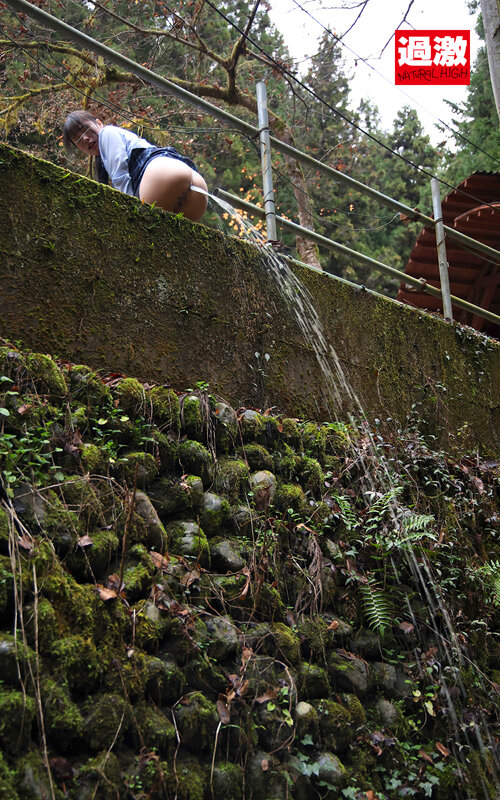 1NHDTB00774 サンプル16