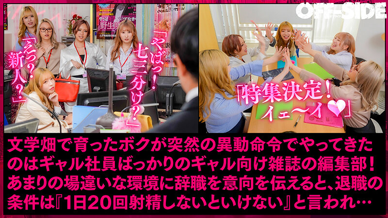 1OFSD00038 サンプル2