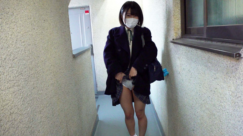 1PIYO00141 サンプル4