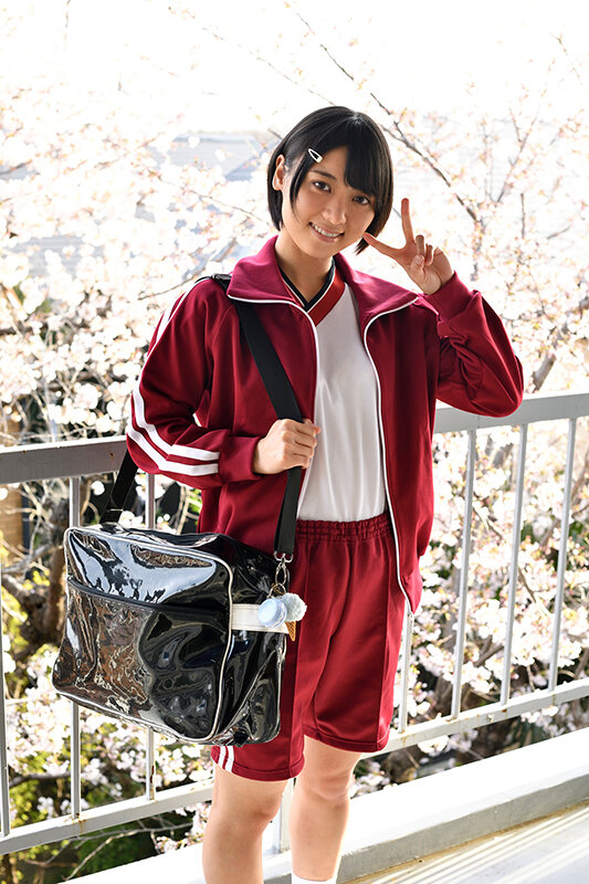 1PIYO00151 サンプル15