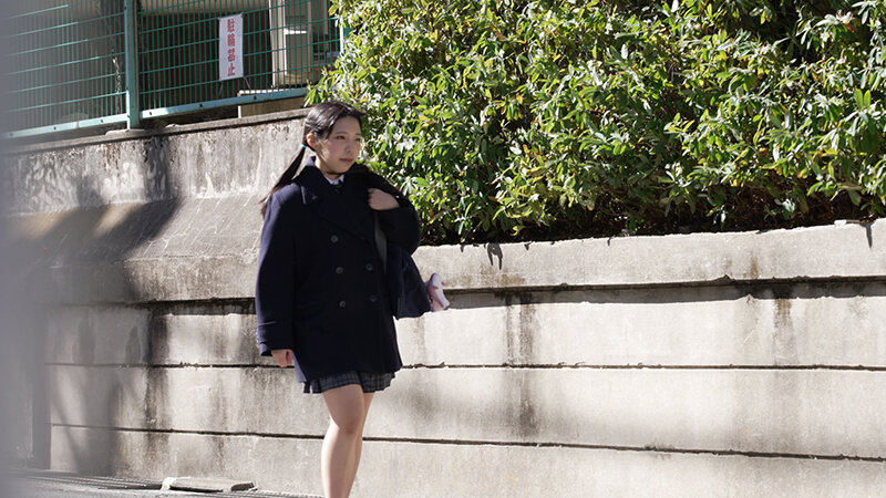 1PIYO00206 サンプル3