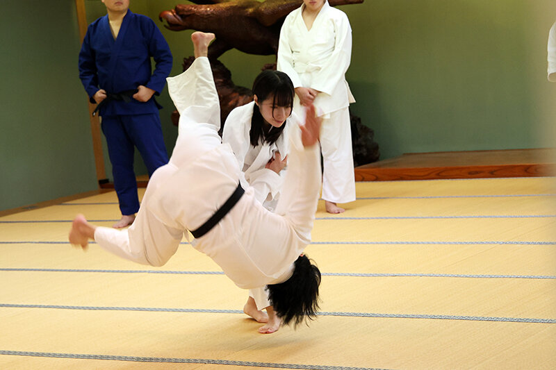 1PIYO00209 サンプル1