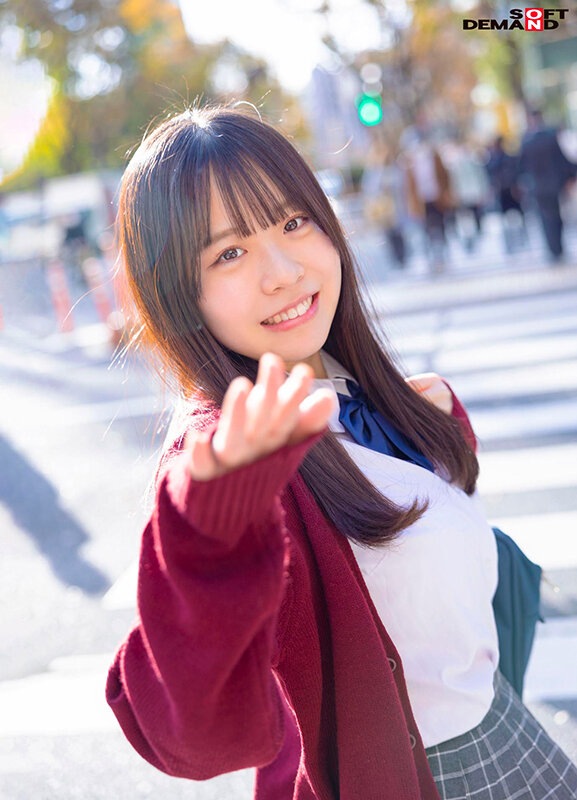 1SDAB00216 サンプル2