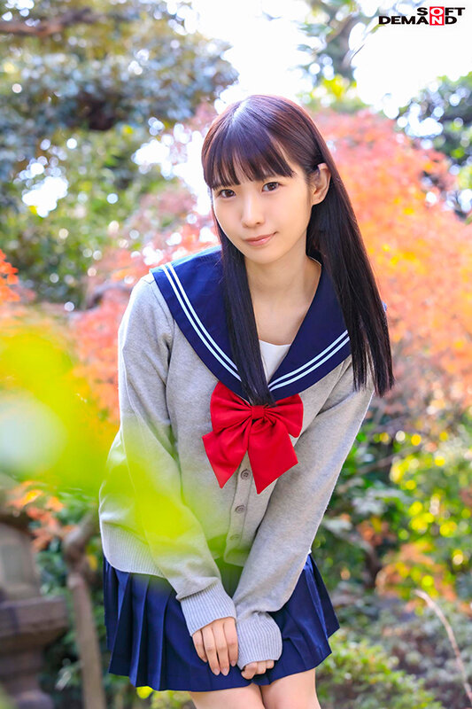 1SDAB00218 サンプル15