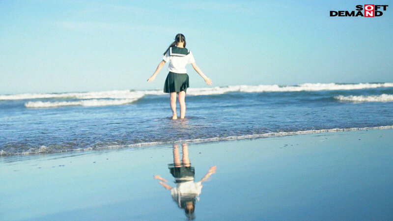 1SDAB00288 サンプル12