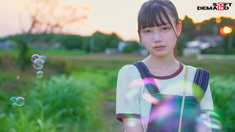 1SDAB00288 サンプル2