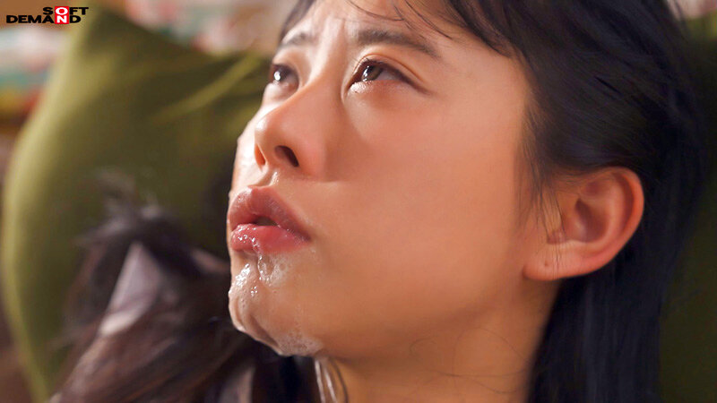 1SDAB00310 サンプル12