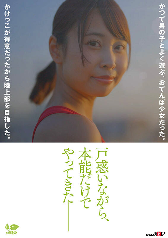 1SDAB00322 サンプル2