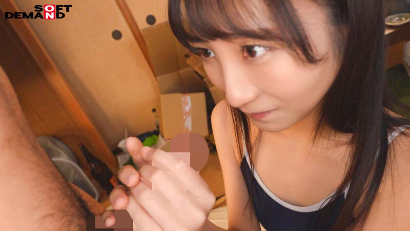 1SDAB00335 サンプル12