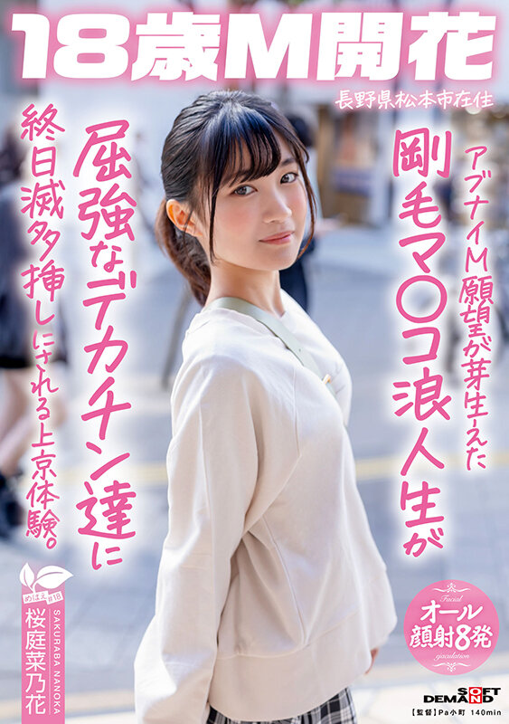 1SDAB00336 サンプル1