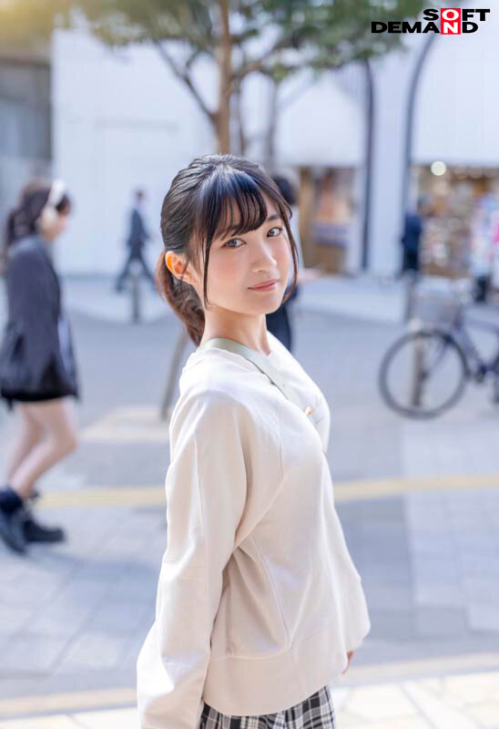 1SDAB00336 サンプル2