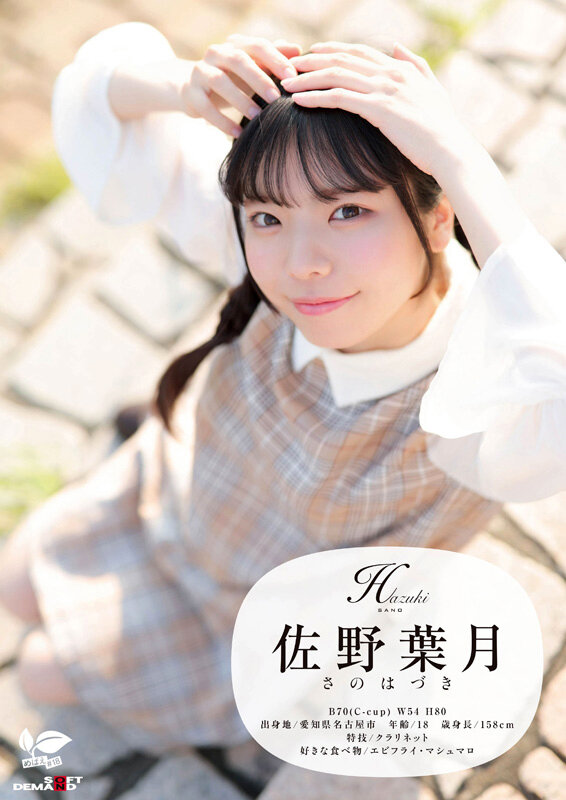 1SDAB00339 サンプル2