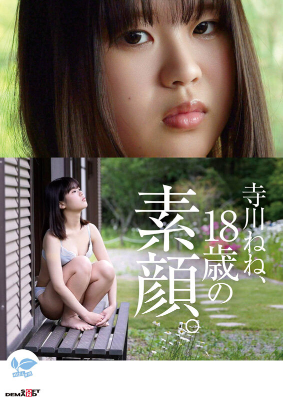 1SDAB00340 サンプル8