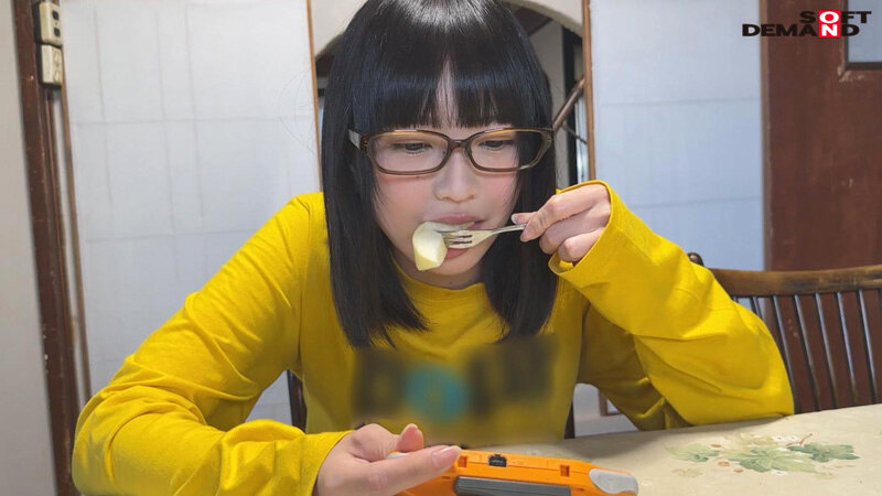 1SDAM00113 サンプル9