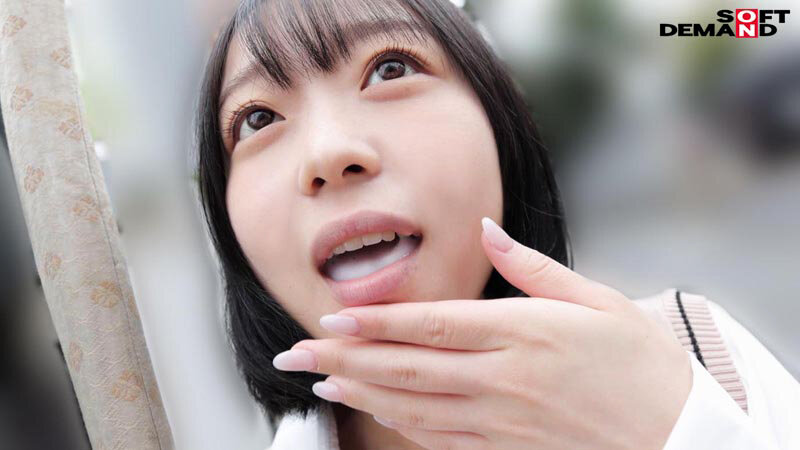 1SDAM00135 サンプル11