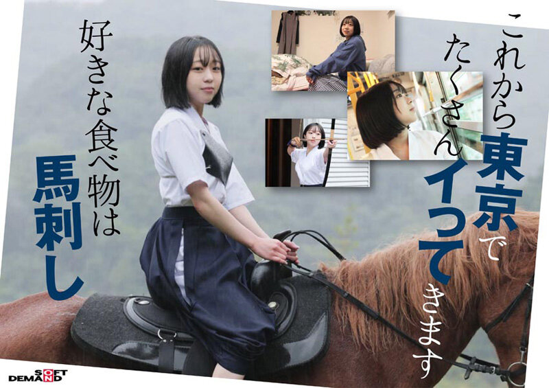 1SDAM00135 サンプル3