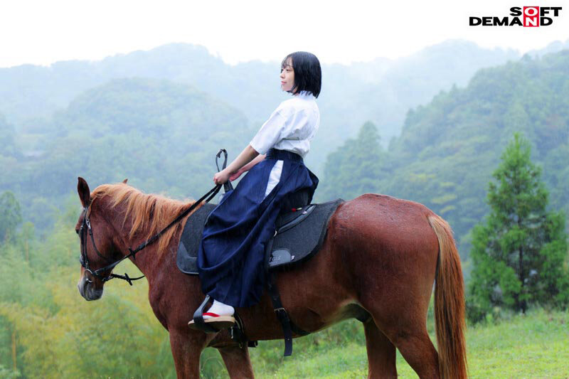 1SDAM00135 サンプル5