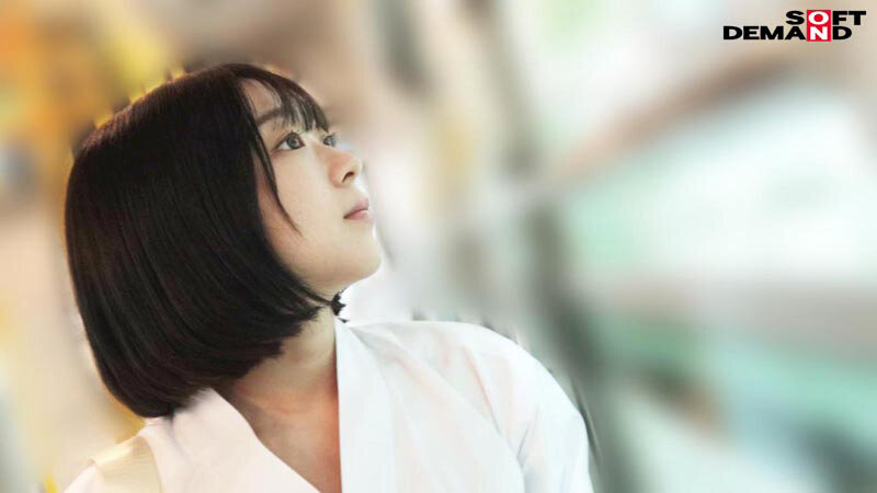 1SDAM00135 サンプル6