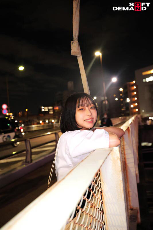 1SDAM00135 サンプル9