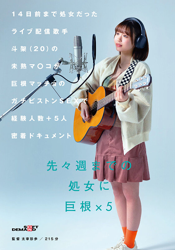 1SDAM00137 サンプル1