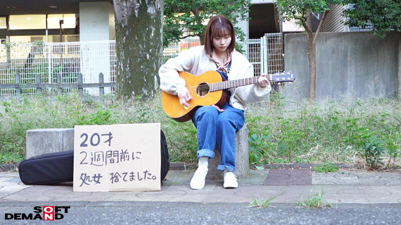 1SDAM00137 サンプル2