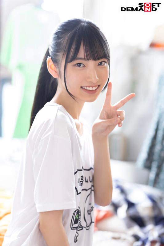 1SDAM00153 サンプル19