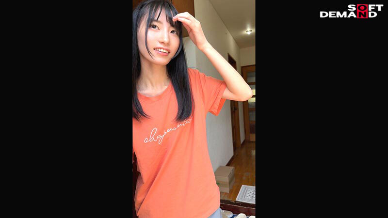 1SDAM00153 サンプル3