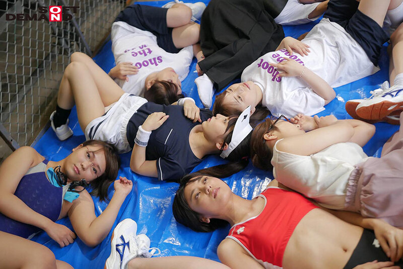 1SDDE00653 サンプル13