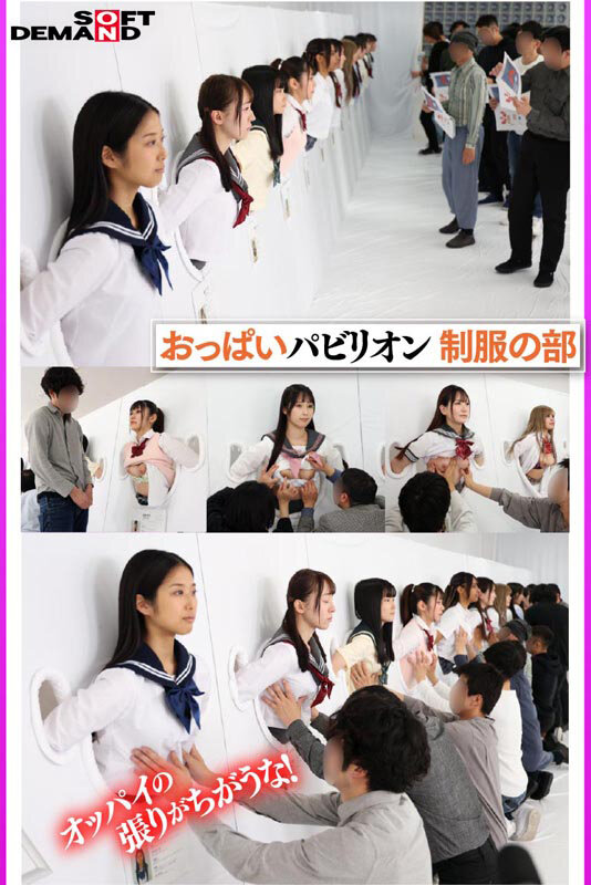 1SDDE00733V サンプル2