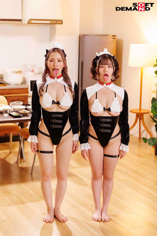 1SDDE00763 サンプル2