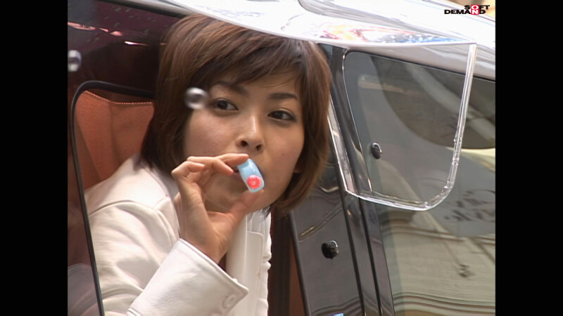 1SDDM00895AI サンプル15