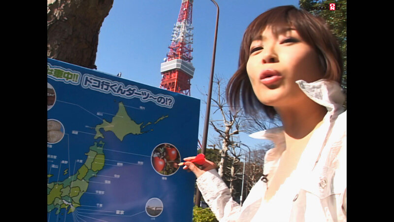 1SDDM00895AI サンプル3