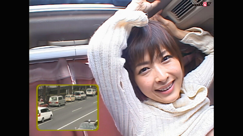 1SDDM00895AI サンプル8