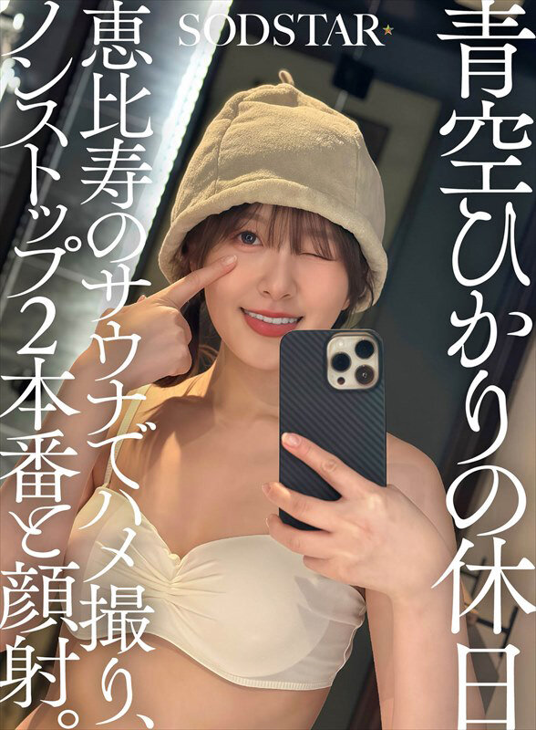 1SDHS00060 サンプル1