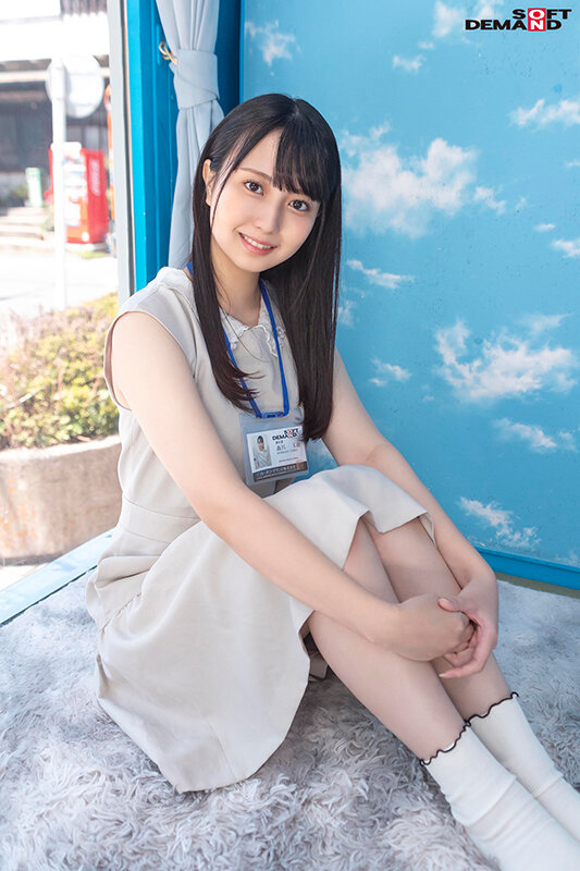 1SDJS00166 サンプル3